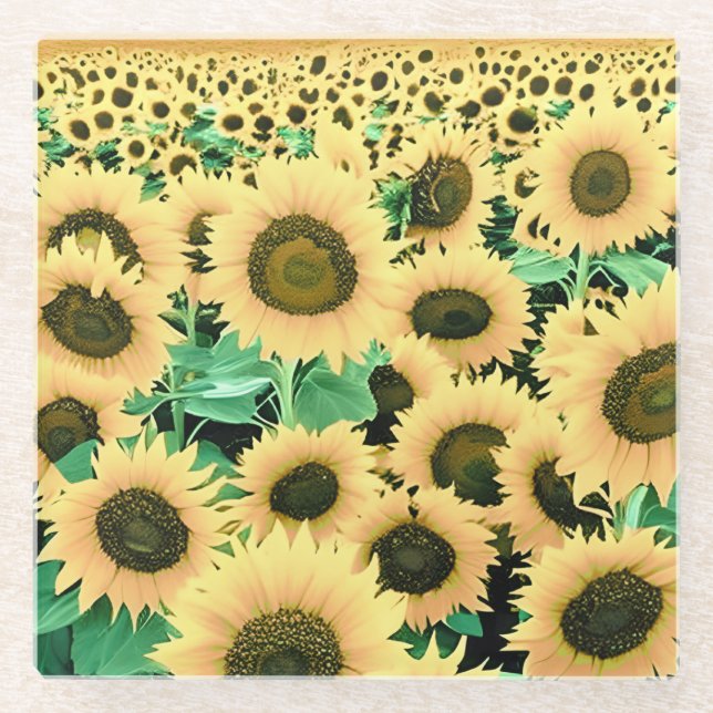 Field of Golden Yellow Sunflowers Glass Coaster (Front)