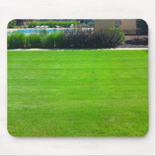 Field of Green Grass Mousepad