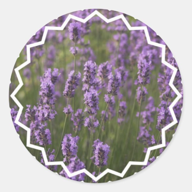 Field of Lavender Classic Round Sticker (Front)