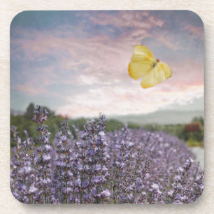 Field of Lavender Flowers, Blue Sky, Pink Sunset, Coaster