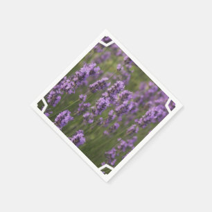 Field of Lavender Napkin