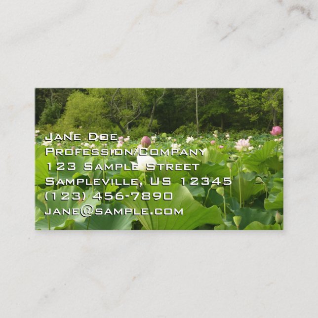 Field of Lotus Flowers Business Card (Front)