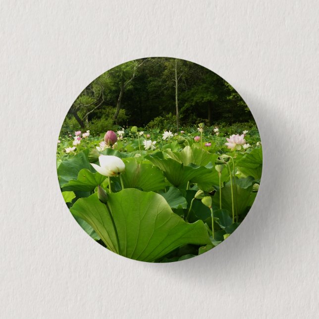 Field of Lotus Flowers Summer Garden 3 Cm Round Badge (Front)