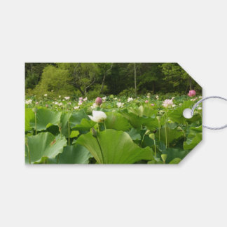 Field of Lotus Flowers Summer Garden Gift Tags