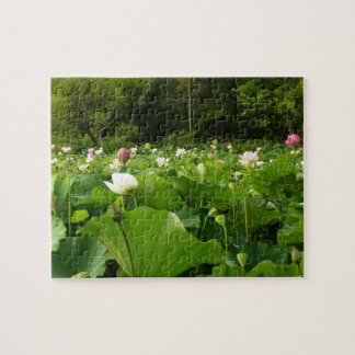 Field of Lotus Flowers Summer Garden Jigsaw Puzzle