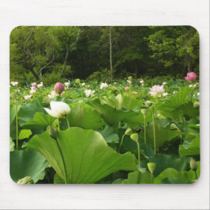 Field of Lotus Flowers Summer Garden Mouse Pad