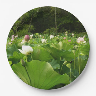 Field of Lotus Flowers Summer Garden Paper Plate
