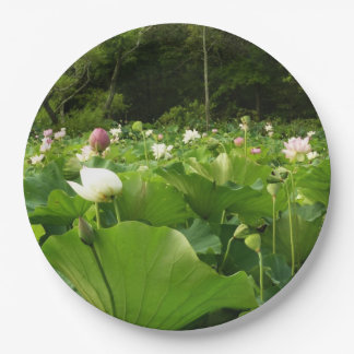 Field of Lotus Flowers Summer Garden Paper Plate