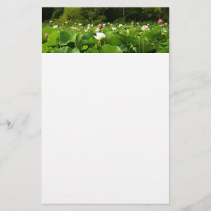 Field of Lotus Flowers Summer Garden Stationery