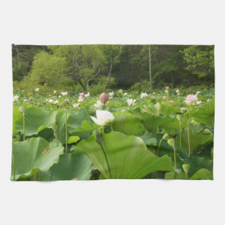 Field of Lotus Flowers Summer Garden Tea Towel