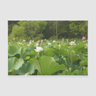 Field of Lotus Flowers Summer Garden Tissue Paper