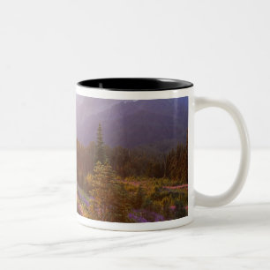 Field of lupine and Olympic Mountains at Two-Tone Coffee Mug