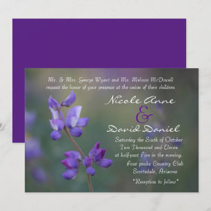 field of Lupine invitation horizontal