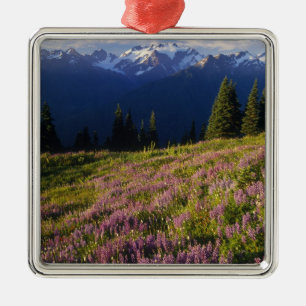 Field of lupine, Mt. Olympus, and clouds at Metal Tree Decoration