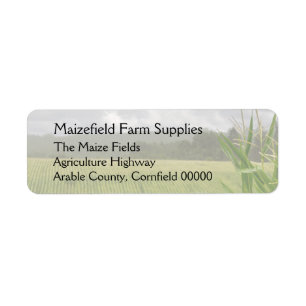Field of maize landscape