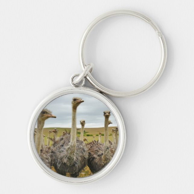 Field of Ostriches Key Ring (Front)