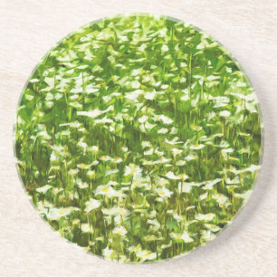 Field of Oxeye Daisies Abstract Impressionism Coaster