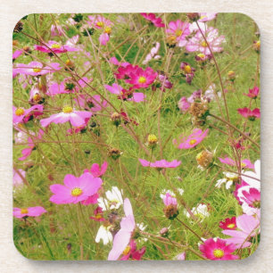 Field Of Pink Flowers Coaster