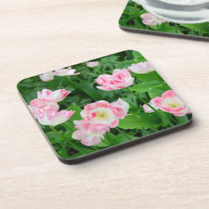 Field of pink tulips coaster