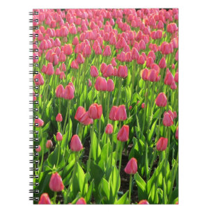 Field of Pink Tulips Notebook