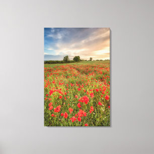 Field of Poppies Canvas Print