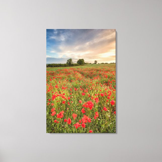 Field of Poppies Canvas Print (Front)