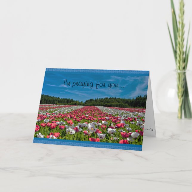 Field of Poppies Christian Message Greeting Card (Front)
