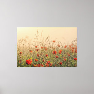 field of poppies early morning canvas print