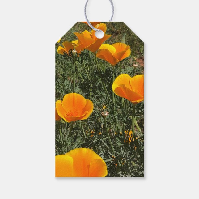 Field of Poppies Gift Tags (Front)