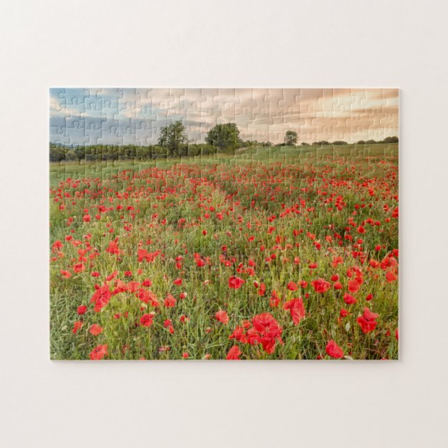 Field of Poppies Jigsaw Puzzle (Horizontal)