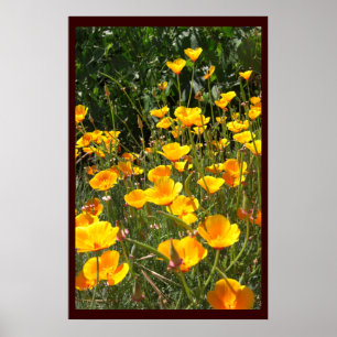 Field of Poppies Large Posters  and Prints