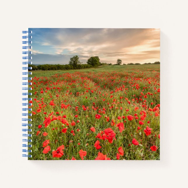 Field of Poppies Notebook (Front)