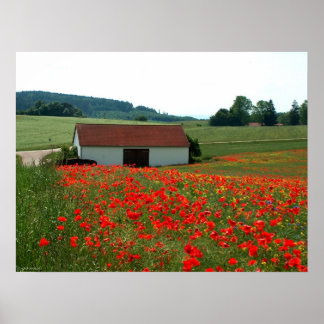 Field of poppies poster