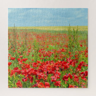 Field Of Poppies Puzzle