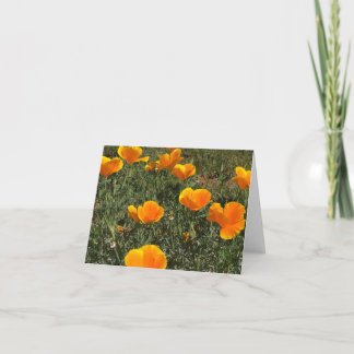 Field of Poppies Thank You Card