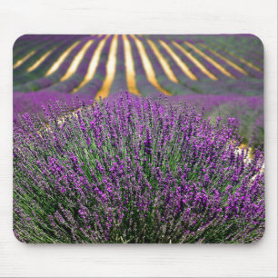 Field of purple lavender mouse pad