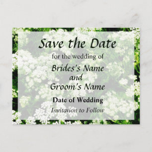 Field of Queen Anne's Lace Save the Date Announcement Postcard