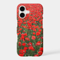 Field of Red Poppies