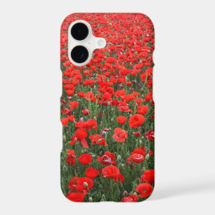 Field of Red Poppies
