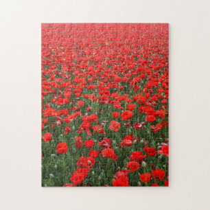 Field of Red Poppies Jigsaw Puzzle