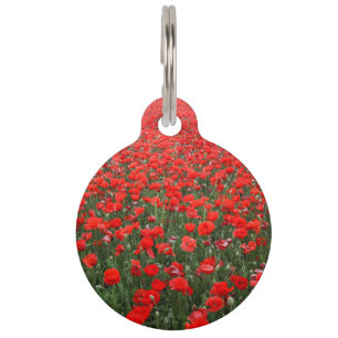 Field of Red Poppies Pet Tag