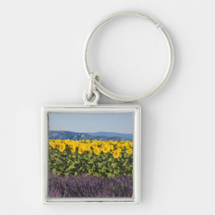 Field of sunflowers and lavender flowers, key ring