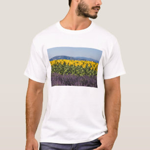 Field of sunflowers and lavender flowers, T-Shirt