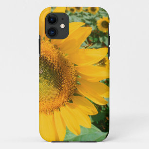 Field Of Sunflowers. Heidleberg District Case-Mate iPhone Case