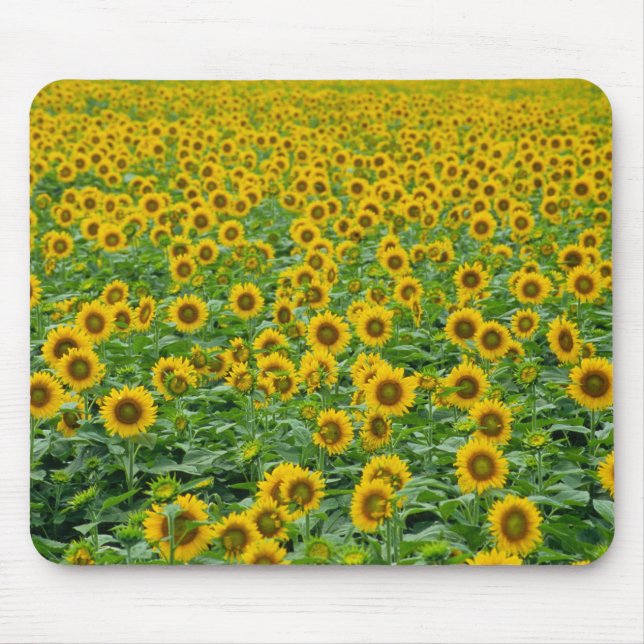 Field of Sunflowers Mouse Pad (Front)