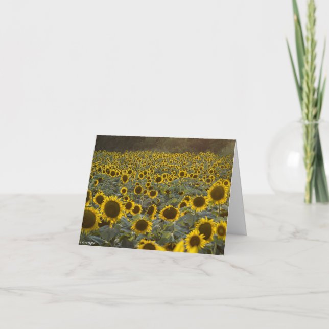 Field of Sunflowers Note Card (Front)