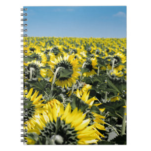 Field of Sunflowers Spiral Notebook