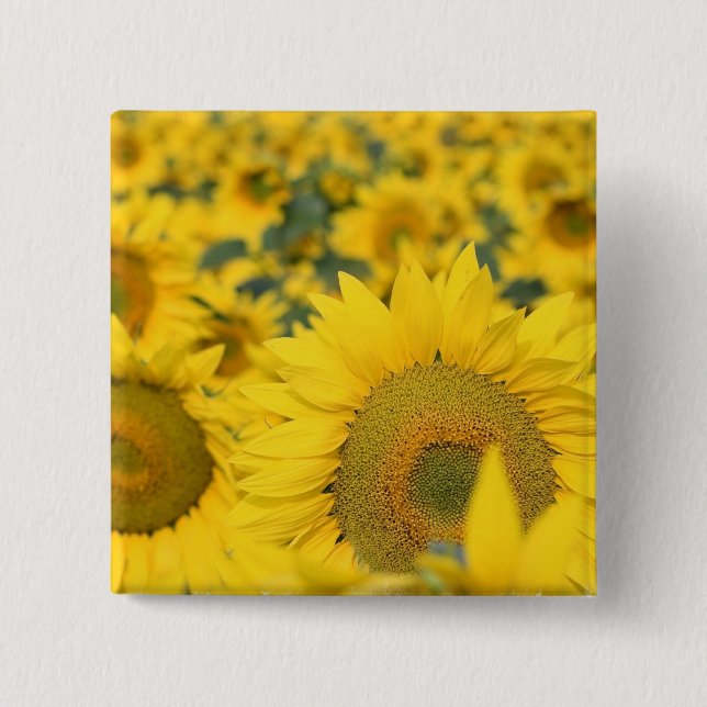 Field of Sunflowers Square Pin (Front)