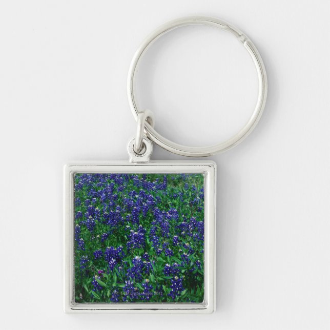 Field of Texas Bluebonnets Key Ring (Front)