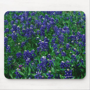 Field of Texas Bluebonnets Mouse Pad